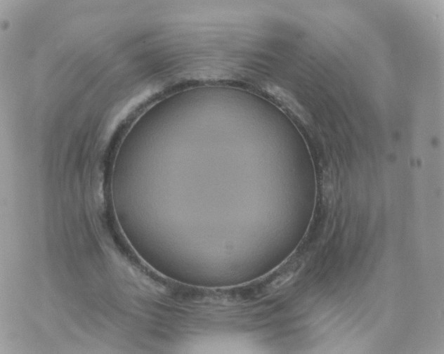 X0000070400727200606302010