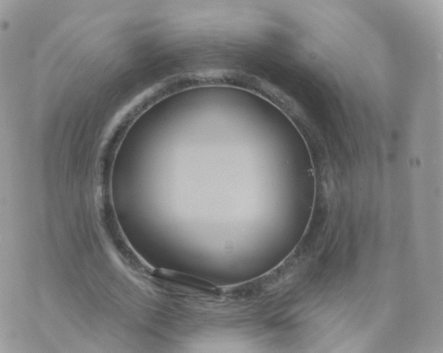 X0000070400728200606302010