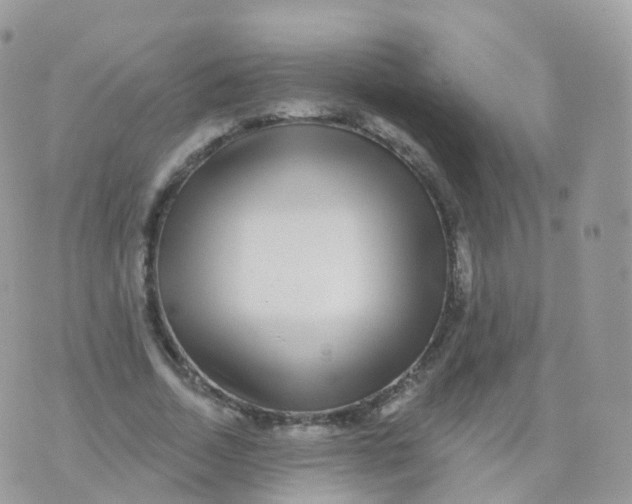 X0000070400730200606302010