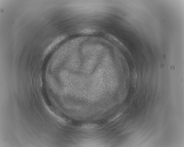 X0000070400734200606302010