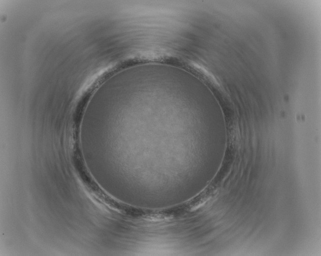 X0000070400736200606302011