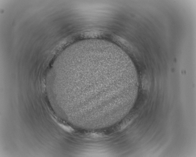 X0000070400737200606302011