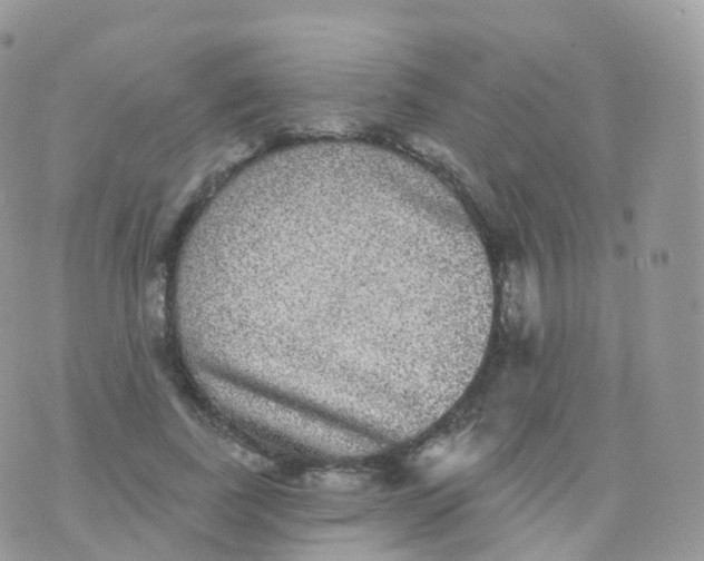 X0000070400739200606302011