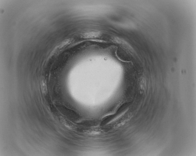 X0000070400743200606302011