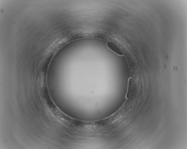 X0000070400744200606302011