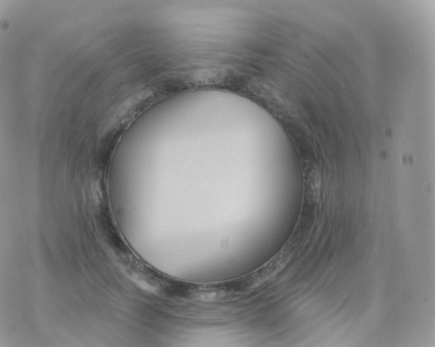 X0000070400746200606302011