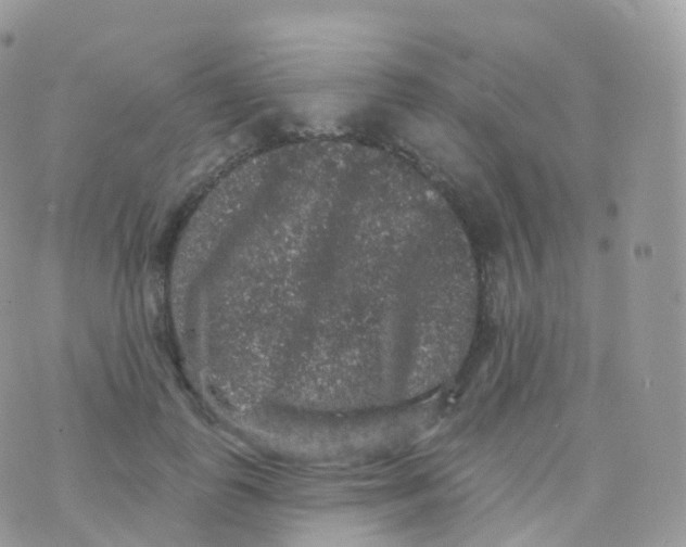 X0000070400747200606302011