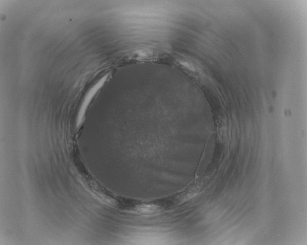 X0000070400748200606302011