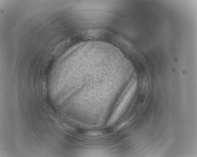 X0000070400749200606302011