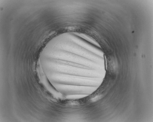 X0000070400750200606302011