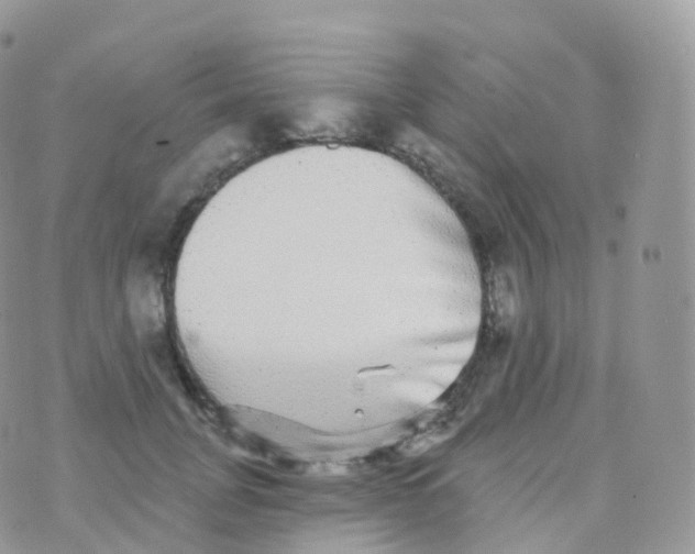 X0000070400751200606302011