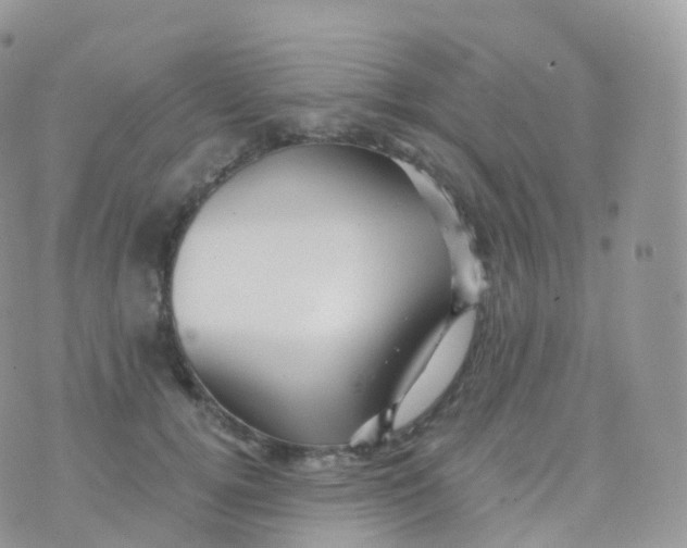 X0000070400752200606302011