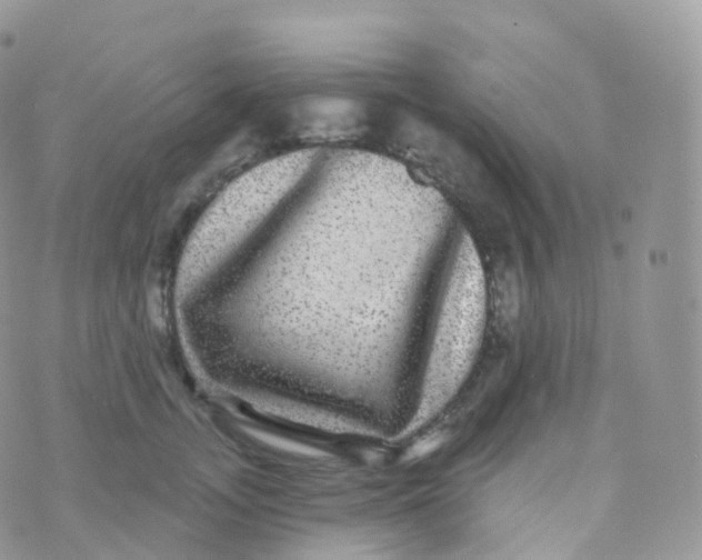 X0000070400755200606302011