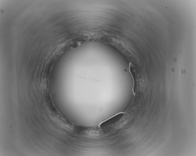 X0000070400756200606302011