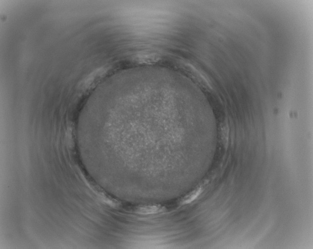 X0000070400757200606302011