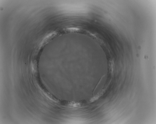 X0000070400760200606302011