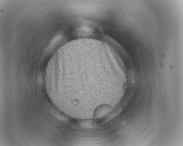 X0000070400761200606302011