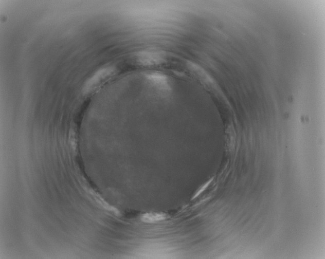 X0000070400762200606302011