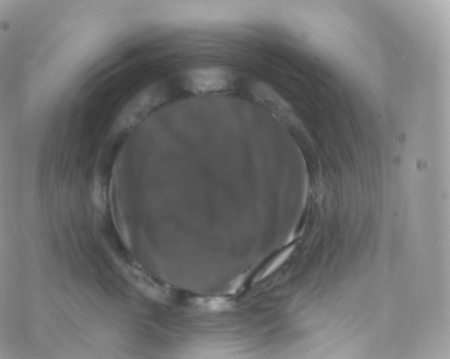 X0000070400763200606302011