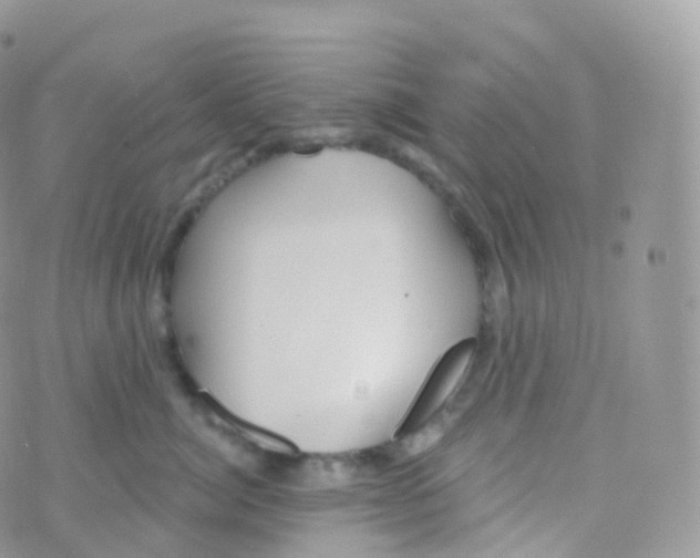 X0000070400764200606302011