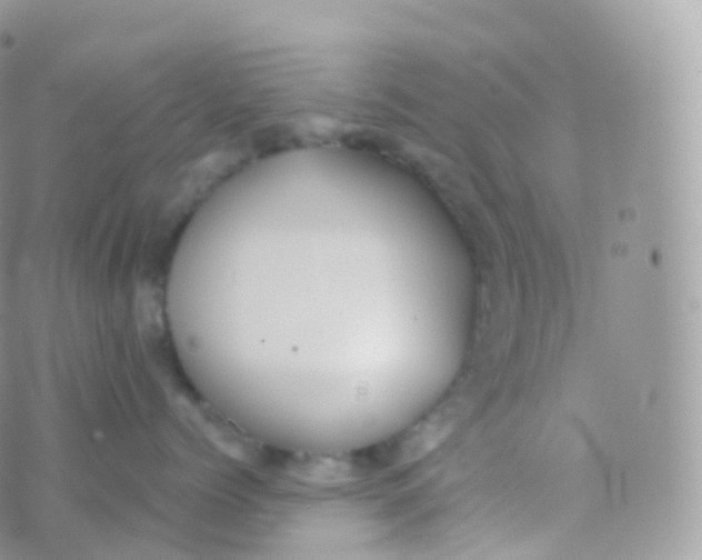 X0000070400768200606302011