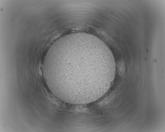 X0000070400770200606302010