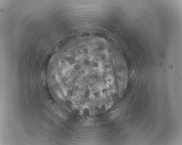 X0000070400772200606302010