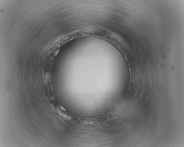 X0000070400773200606302010