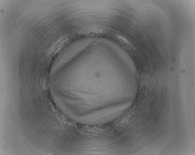 X0000070400774200606302010