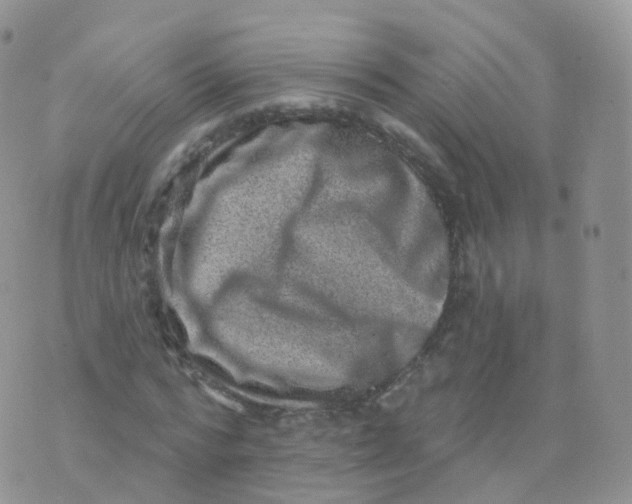 X0000070400776200606302010