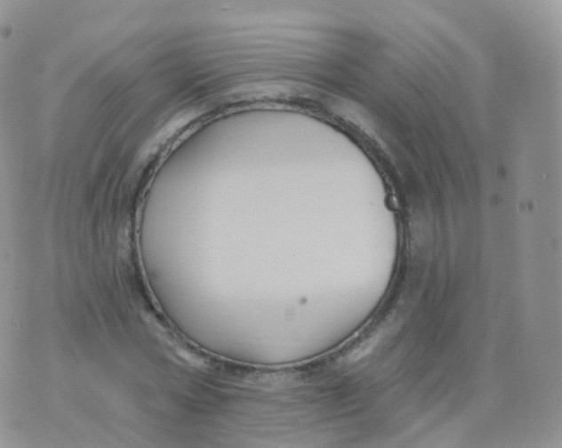 X0000070400778200606302010