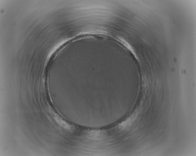 X0000070400779200606302010