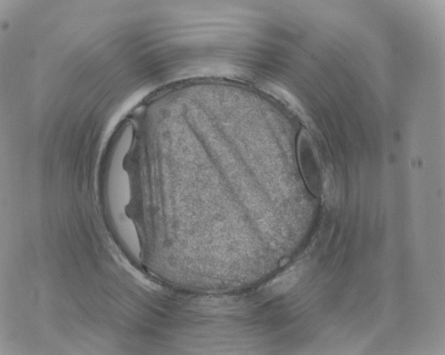 X0000070400780200606302010