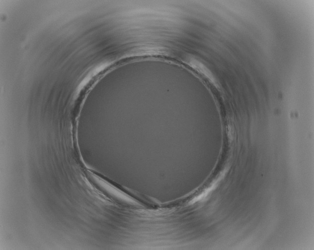 X0000070400781200606302010