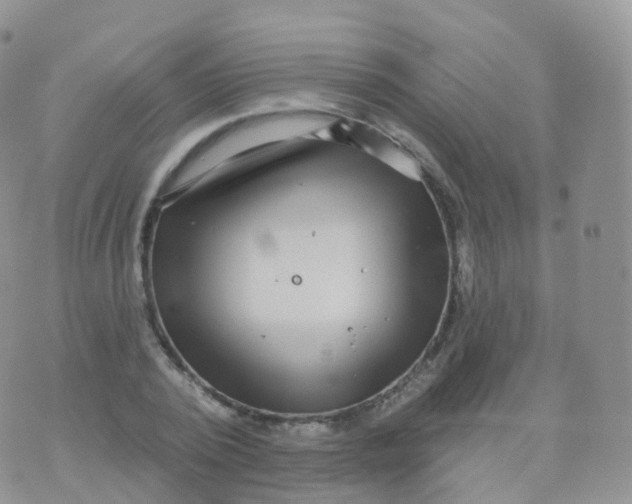 X0000070400784200606302010