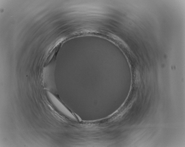 X0000070400785200606302010