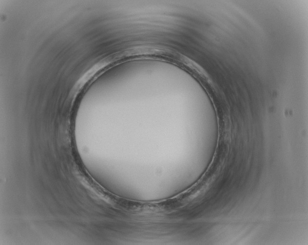 X0000070400786200606302010