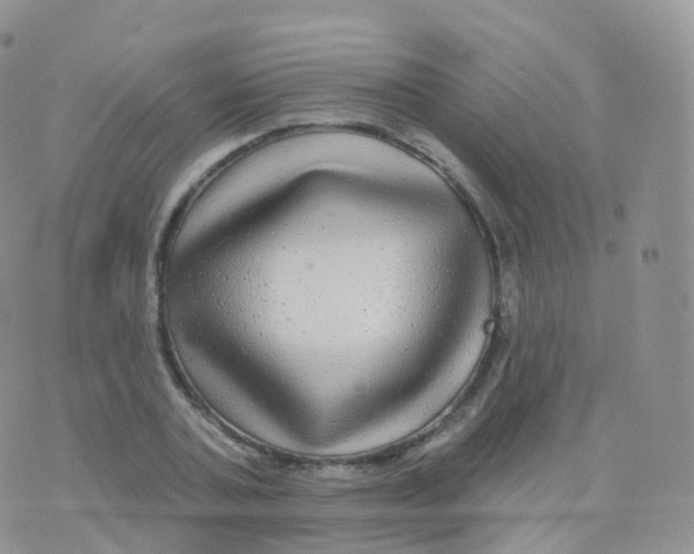 X0000070400787200606302010