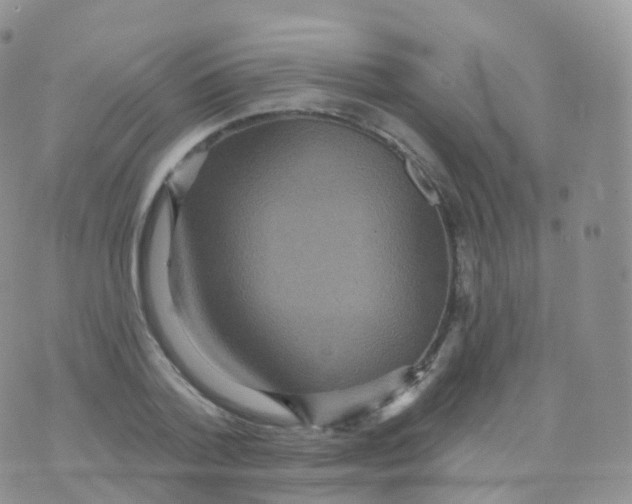 X0000070400788200606302010