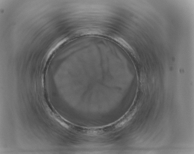 X0000070400790200606302010