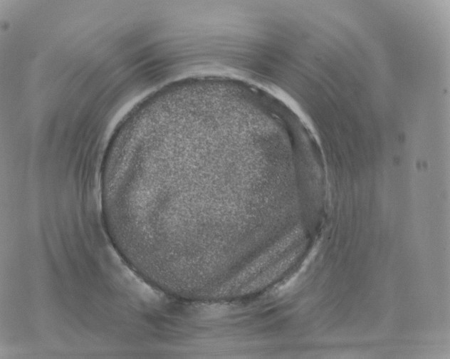 X0000070400791200606302010