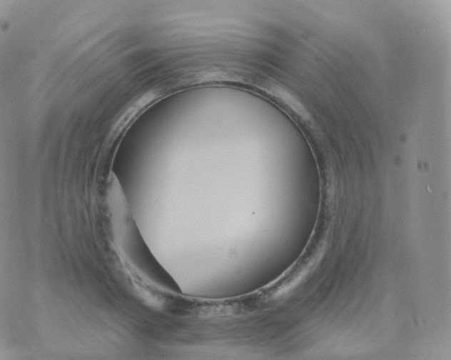 X0000070400793200606302010