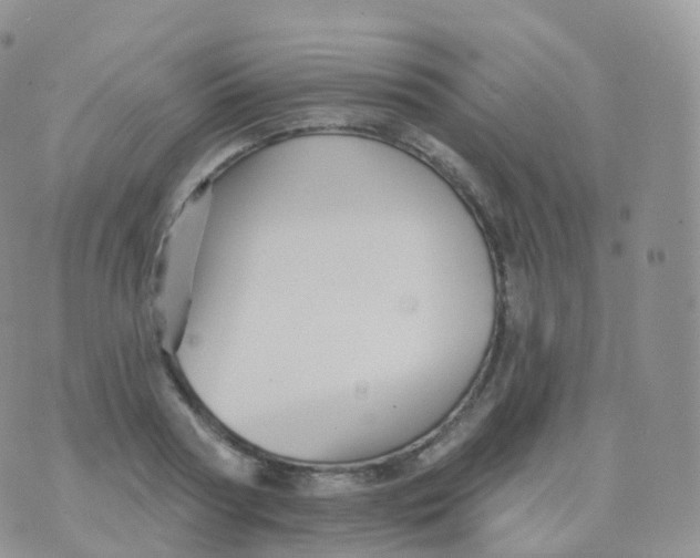 X0000070400794200606302010