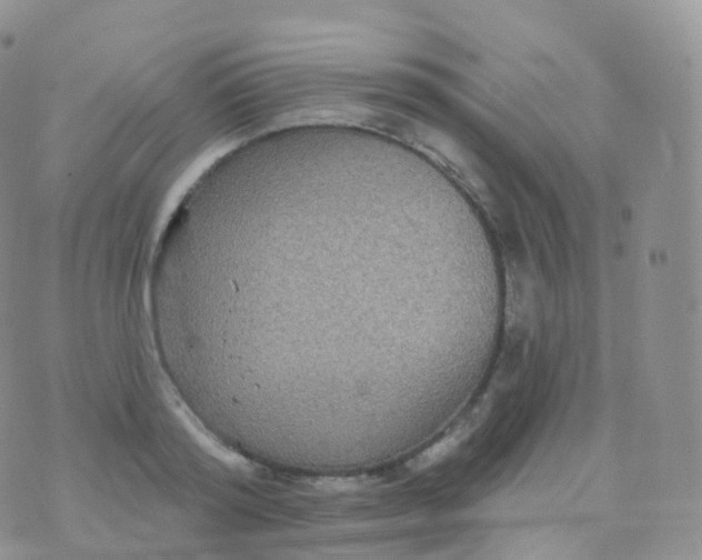 X0000070400796200606302010