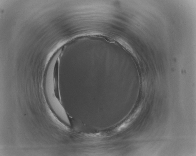 X0000070400797200606302010