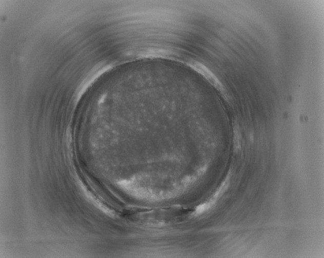 X0000070400798200606302010