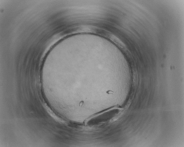 X0000070400800200606302010