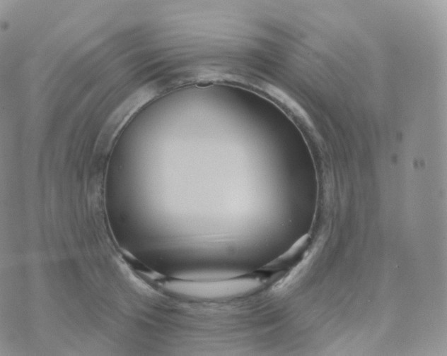 X0000070400801200606302010