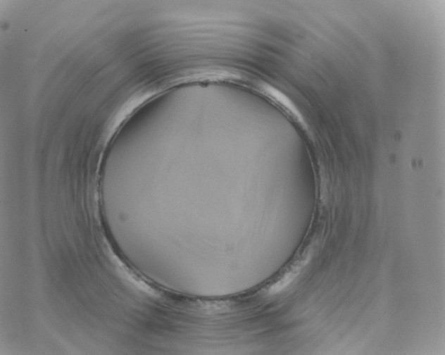 X0000070400802200606302010