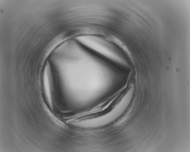 X0000070400803200606302010